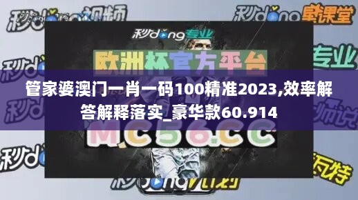 管家婆澳门一肖一码100精准2023,效率解答解释落实_豪华款60.914