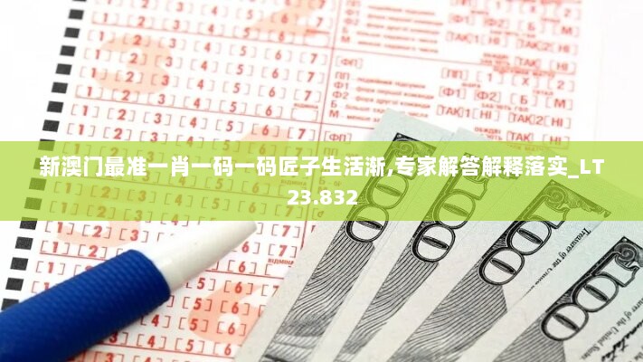 新澳门最准一肖一码一码匠子生活渐,专家解答解释落实_LT23.832