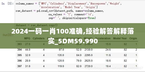 2024一码一肖100准确,经验解答解释落实_5DM59.990