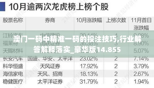 澳门一码中精准一码的投注技巧,行业解答解释落实_豪华版14.855