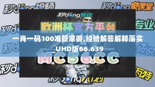 一肖一码100准管家婆,经验解答解释落实_UHD版66.639