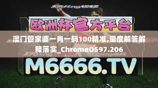 澳门管家婆一肖一码100精准,量度解答解释落实_ChromeOS97.206