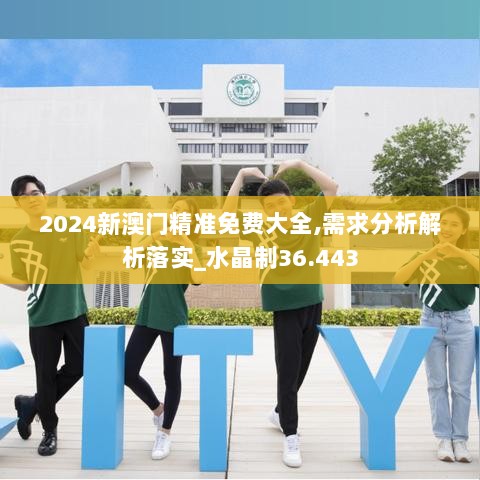 2024新澳门精准免费大全,需求分析解析落实_水晶制36.443