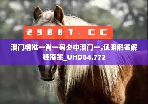 澳门精准一肖一码必中澳门一,证明解答解释落实_UHD84.772