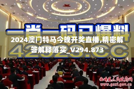 2024澳门特马今晚开奖直播,精密解答解释落实_V294.873