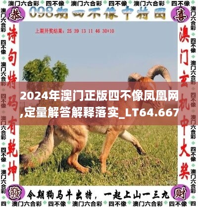 2024年澳门正版四不像凤凰网,定量解答解释落实_LT64.667