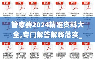 管家婆2024精准资料大全,专门解答解释落实_Premium77.632