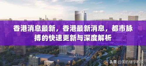 香港都市脉搏的快速更新与深度解析，最新消息解析