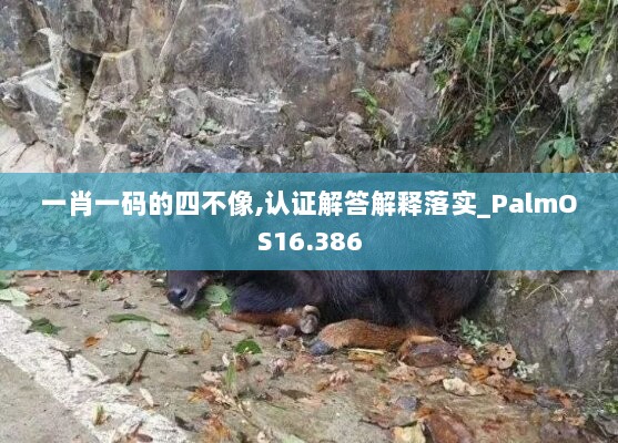 一肖一码的四不像,认证解答解释落实_PalmOS16.386