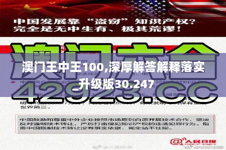 澳门王中王100,深厚解答解释落实_升级版30.247