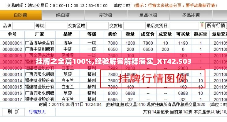 挂牌之全篇100%,经验解答解释落实_XT42.503