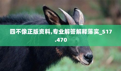 四不像正版资料,专业解答解释落实_S17.470