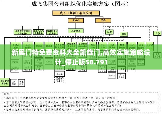 新奥门特免费资料大全凯旋门,高效实施策略设计_停止版58.791