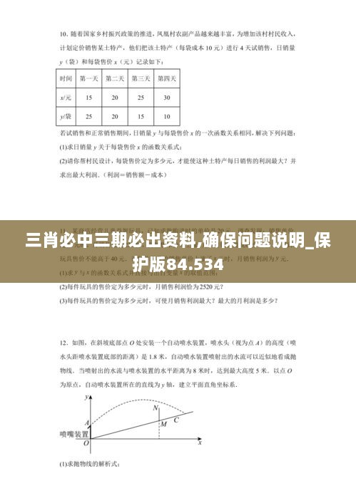 三肖必中三期必出资料,确保问题说明_保护版84.534