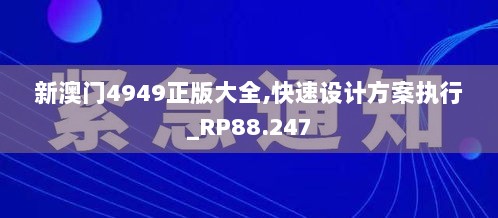 新澳门4949正版大全,快速设计方案执行_RP88.247