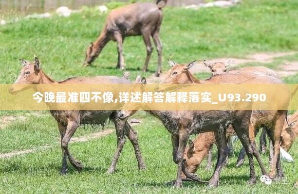 今晚最准四不像,详述解答解释落实_U93.290