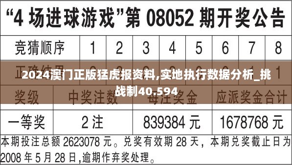 2024澳门正版猛虎报资料,实地执行数据分析_挑战制40.594