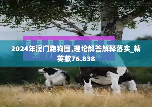 2024年澳门跑狗图,理论解答解释落实_精英款76.838