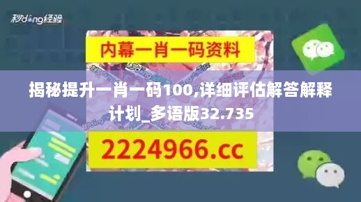 揭秘提升一肖一码100,详细评估解答解释计划_多语版32.735