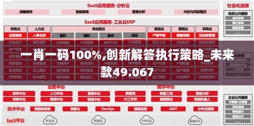 一肖一码100%,创新解答执行策略_未来款49.067