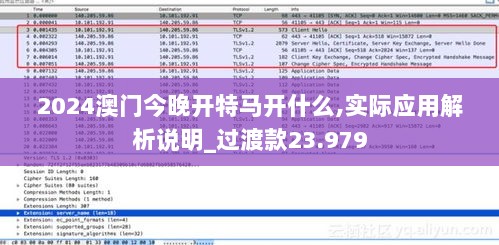 2024澳门今晚开特马开什么,实际应用解析说明_过渡款23.979