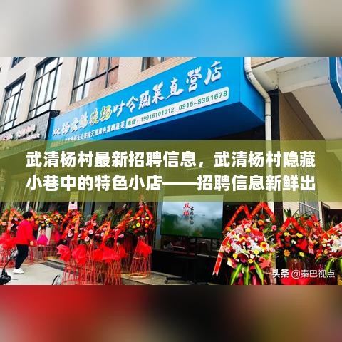 武清杨村招聘信息及特色小店探索之旅，邀你共探独特环境！