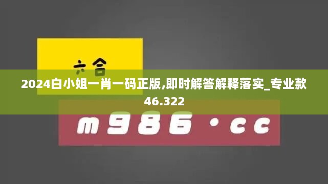 2024白小姐一肖一码正版,即时解答解释落实_专业款46.322