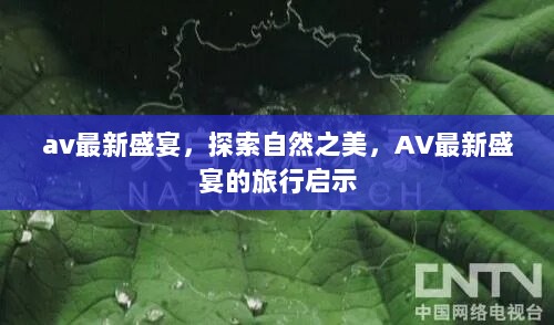 探索自然之美，AV之旅的启示与自然之魅力