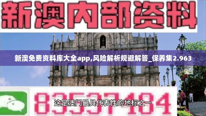 新澳免费资料库大全app,风险解析规避解答_保养集2.963