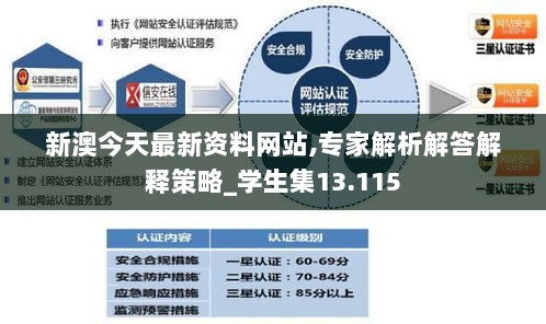 新澳今天最新资料网站,专家解析解答解释策略_学生集13.115