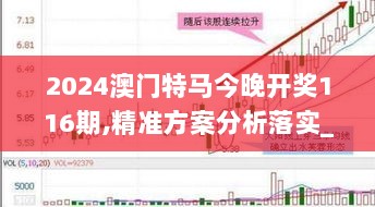 2024澳门特马今晚开奖116期,精准方案分析落实_指南版62.988