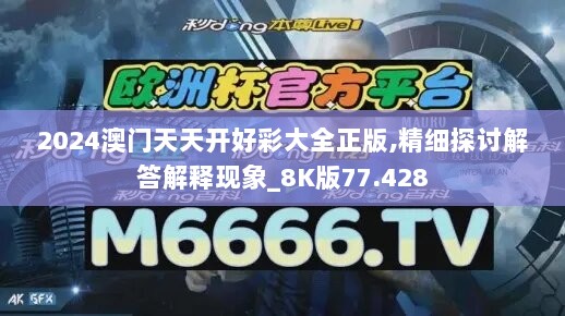 2024澳门天天开好彩大全正版,精细探讨解答解释现象_8K版77.428