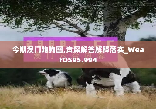 今期澳门跑狗图,资深解答解释落实_WearOS95.994