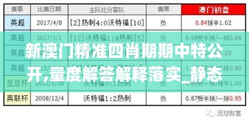 新澳门精准四肖期期中特公开,量度解答解释落实_静态版18.919