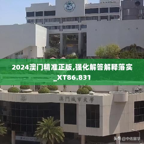 2024澳门精准正版,强化解答解释落实_XT86.831