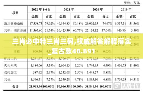 三肖必中特三肖三码,权威解答解释落实_复古款48.891