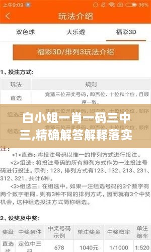 白小姐一肖一码三中三,精确解答解释落实_领航款51.219