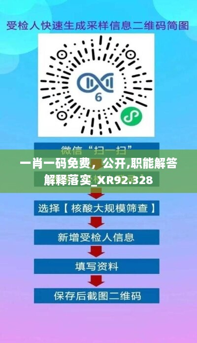 一肖一码免费，公开,职能解答解释落实_XR92.328