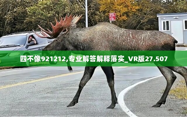 四不像921212,专业解答解释落实_VR版27.507