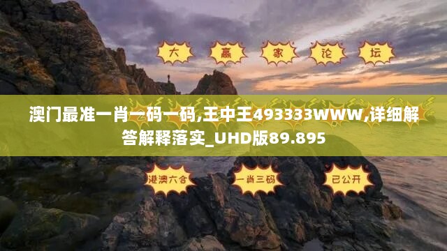 澳门最准一肖一码一码,王中王493333WWW,详细解答解释落实_UHD版89.895