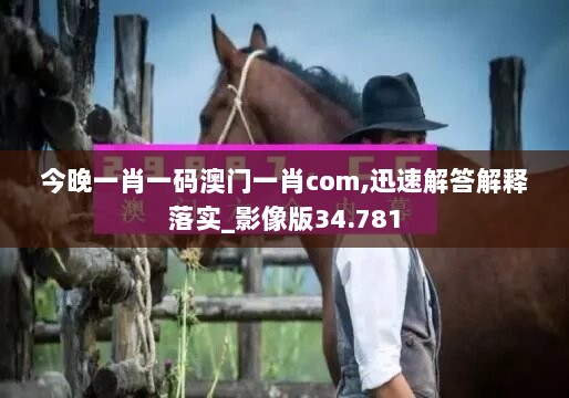 今晚一肖一码澳门一肖com,迅速解答解释落实_影像版34.781