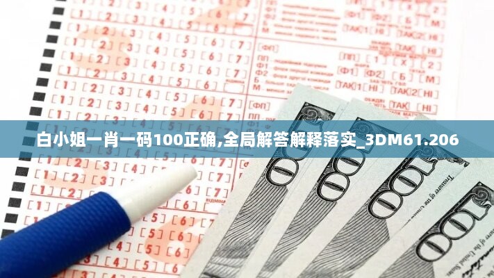 白小姐一肖一码100正确,全局解答解释落实_3DM61.206