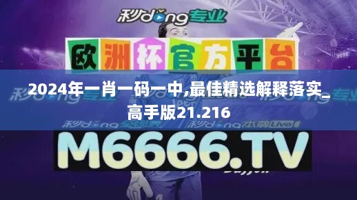 2024年一肖一码一中,最佳精选解释落实_高手版21.216