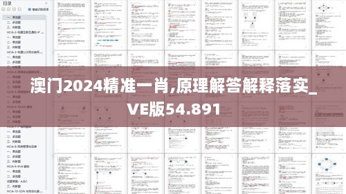 澳门2024精准一肖,原理解答解释落实_VE版54.891