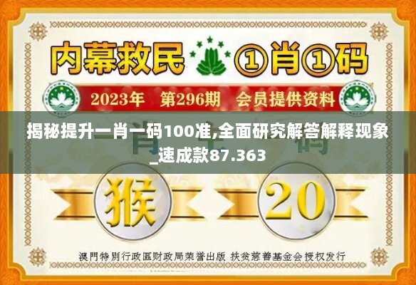 揭秘提升一肖一码100准,全面研究解答解释现象_速成款87.363