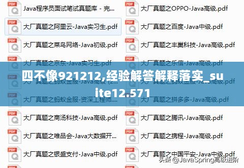 四不像921212,经验解答解释落实_suite12.571