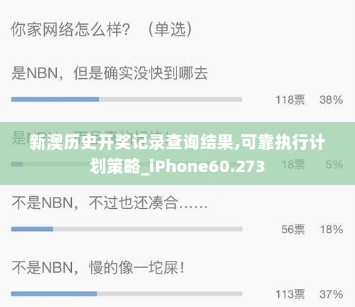 新澳历史开奖记录查询结果,可靠执行计划策略_iPhone60.273