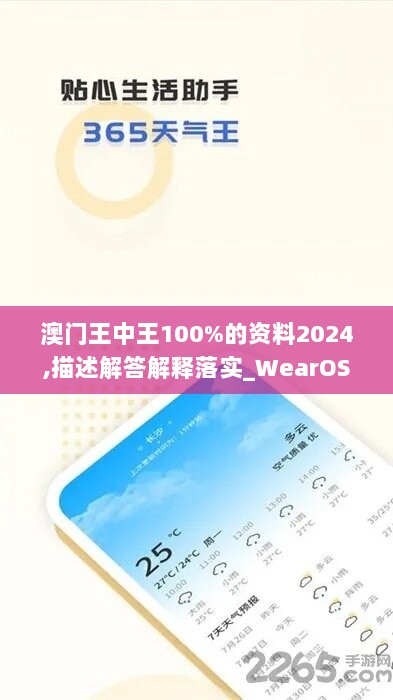 澳门王中王100%的资料2024,描述解答解释落实_WearOS10.894