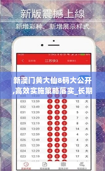 新澳门黄大仙8码大公开,高效实施策略落实_长期款89.824