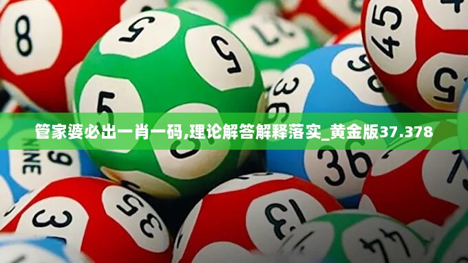 管家婆必出一肖一码,理论解答解释落实_黄金版37.378